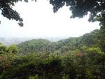 山