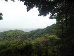 山