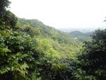 山