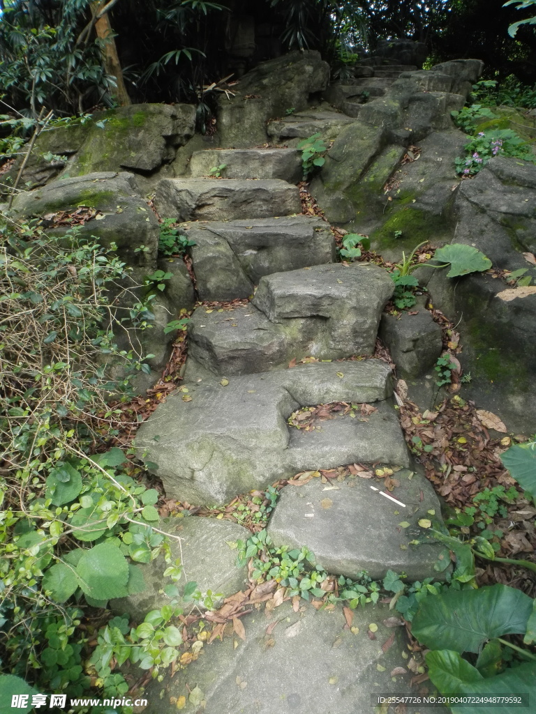 路