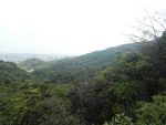 山