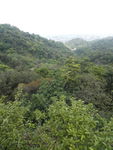 山
