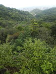 山