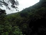 山