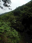 山