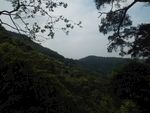 山