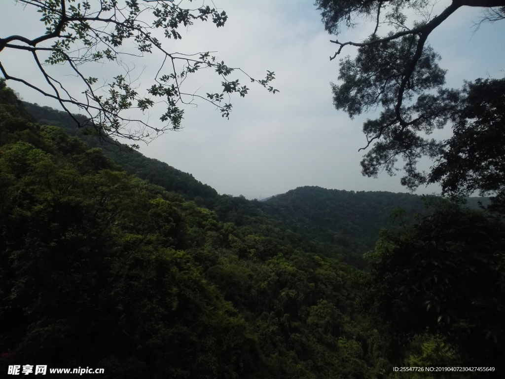 山