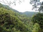 山