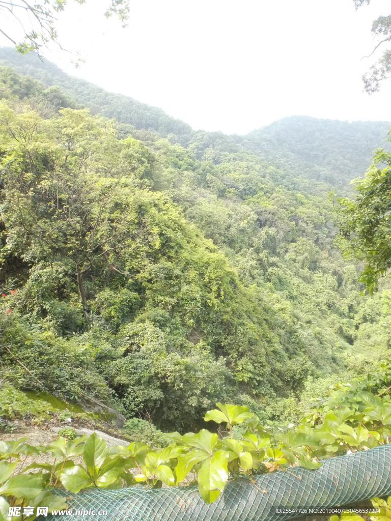 山