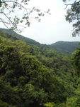 山