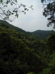 山