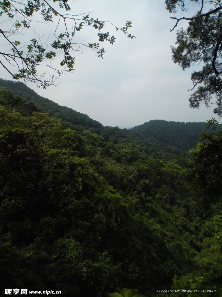 山