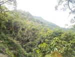 山