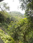山