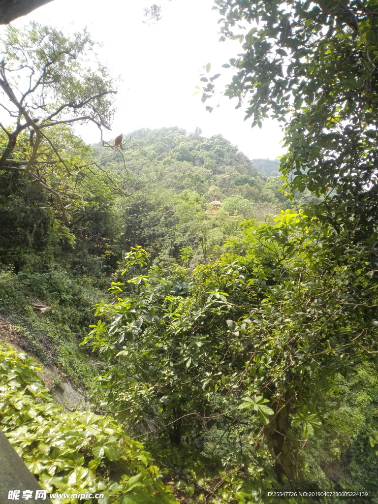 山