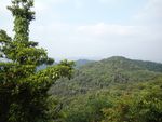 山