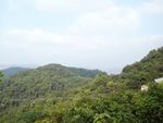 山