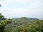 山