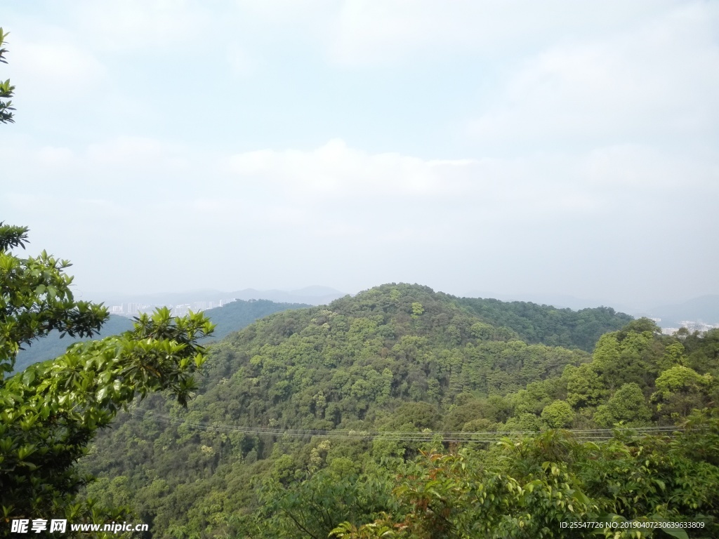 山
