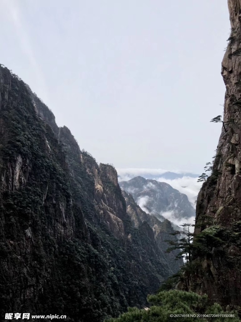 山