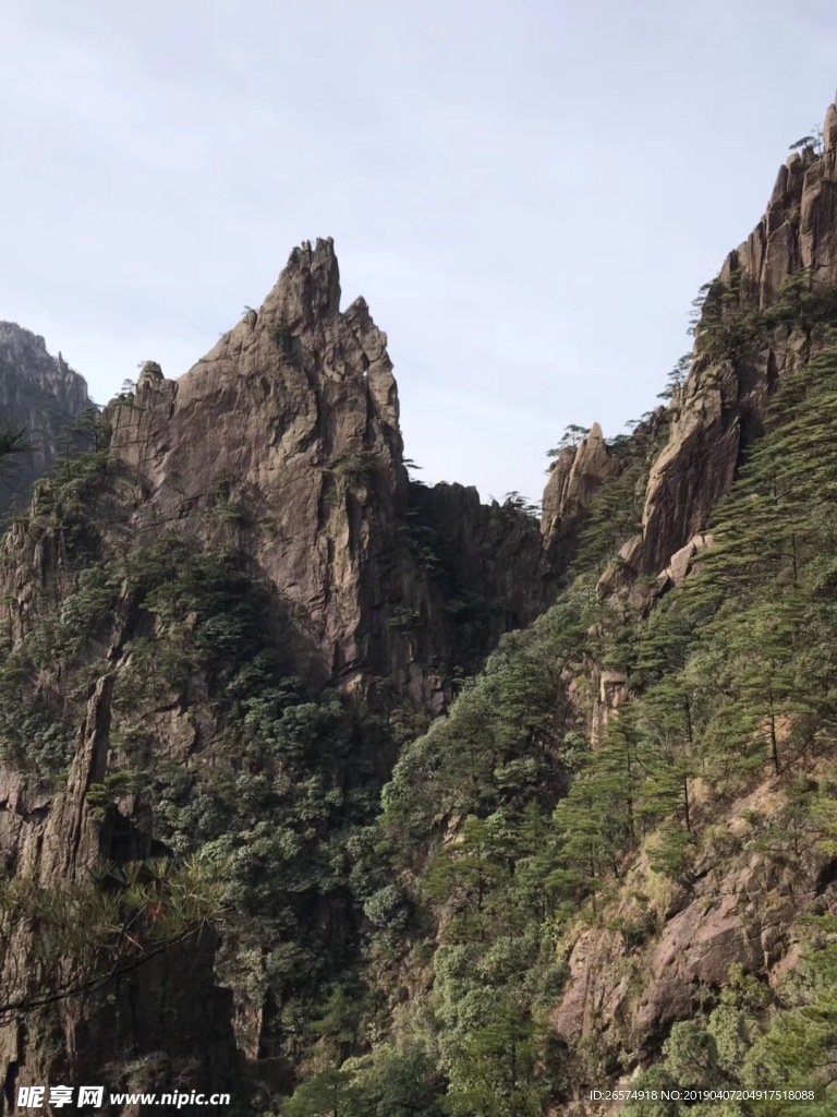 山