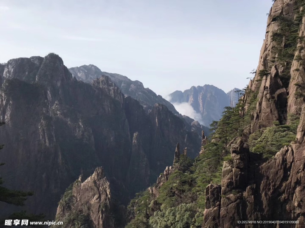 山