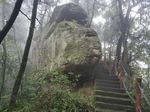 金城山鲸鱼石