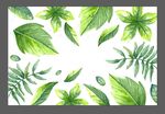 树叶背景