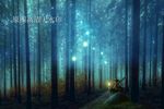 森林 夜色 奇幻 森林 唯美