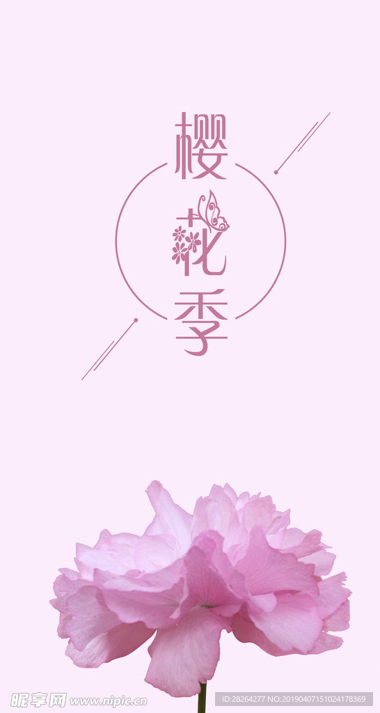 樱花海报