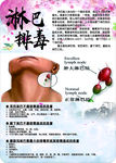 淋巴排毒