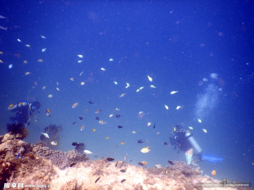 海底潜水世界