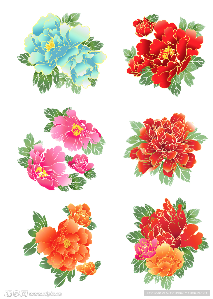 牡丹花