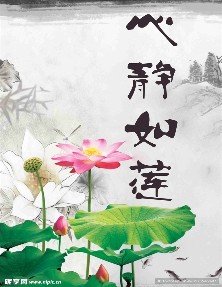 莲