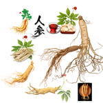 人参