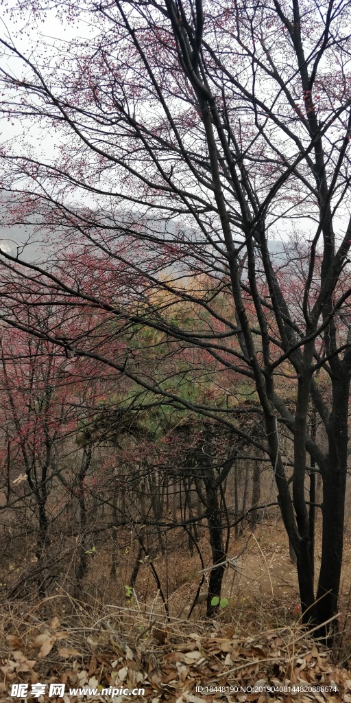 秋天