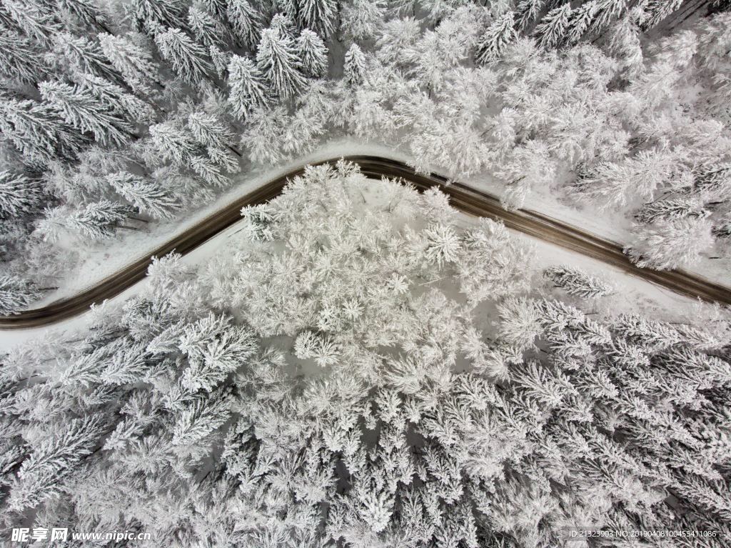 雪景