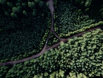 山水