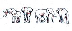 矢量大象集合