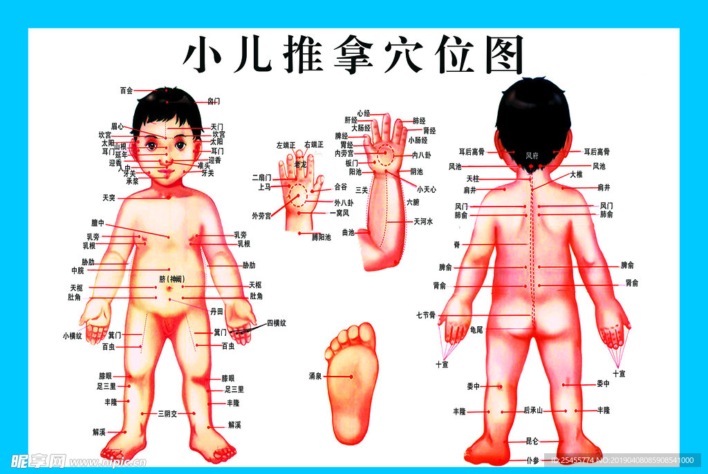 小儿推拿穴位经络图可编辑