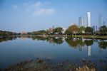 橘子洲
