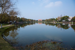 橘子洲