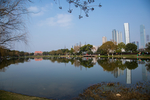 橘子洲