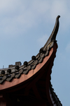 橘子洲