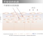 肌肤细胞