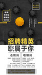 招聘精英 海报
