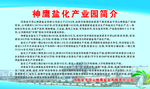 神鹰盐化产业园简介