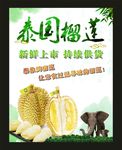 泰国榴莲