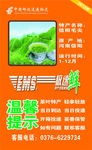 极速鲜