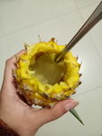 凤梨
